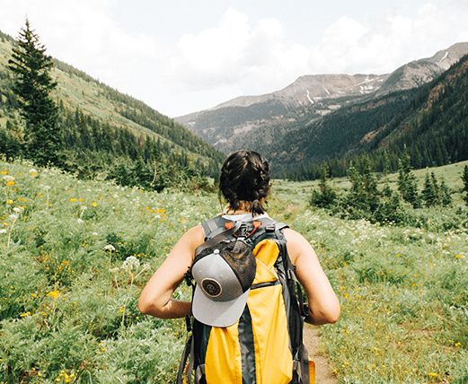 宛若天堂~巨星典藏，白蘭度私島渡假村