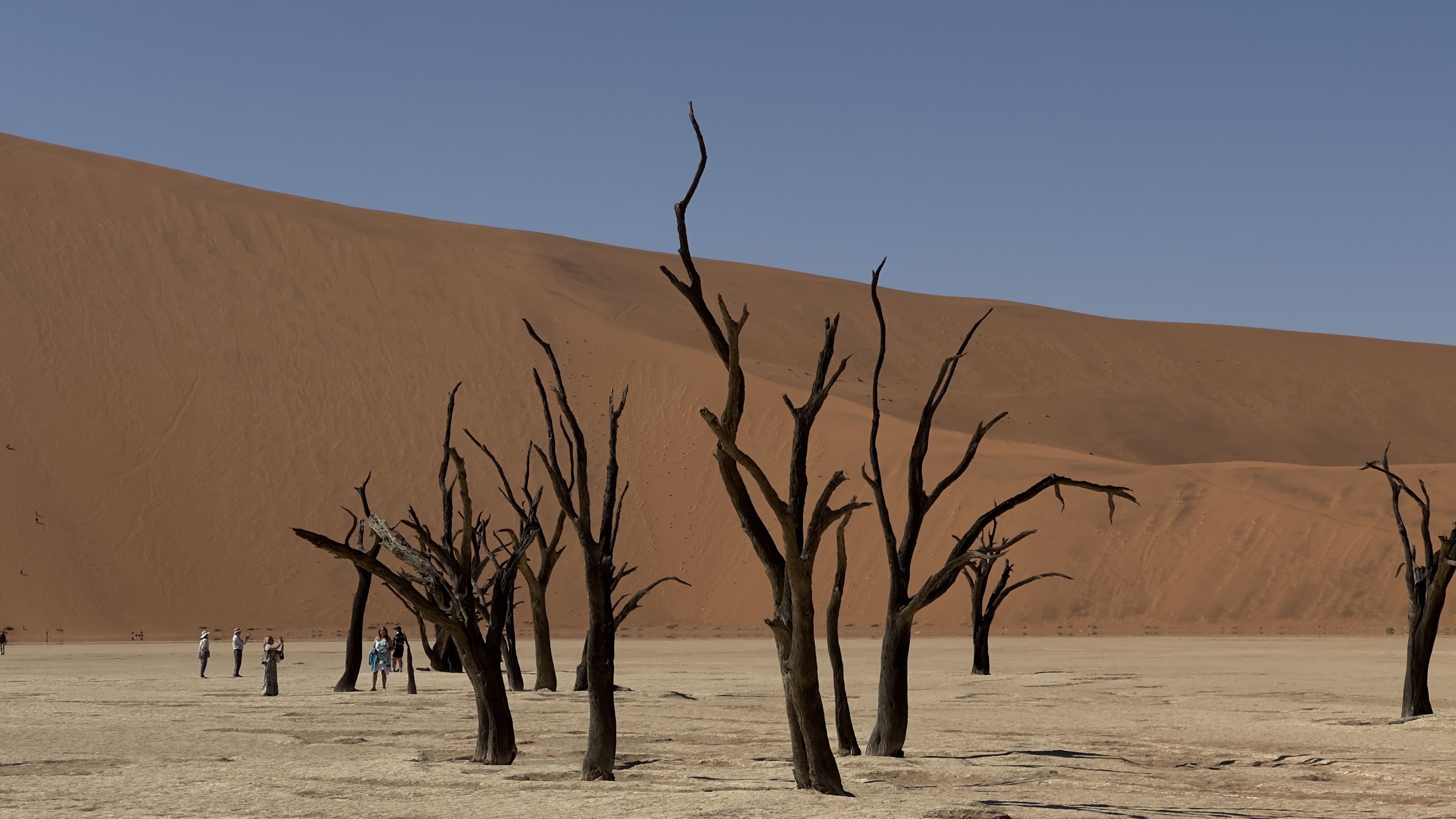 納米比亞南非14天行程